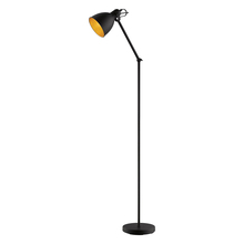 Eglo Canada - Trend 203448A - Priddy 2 1-Light Floor Lamp