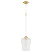 Quorum 3313-80 - Raymond 1 Light Pendant, Aged Brass
