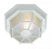 Trans Globe 40582 WH - 1LT FLUSH-SPIDER-LRG-OUTD-FROS