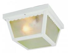 Trans Globe 4902 WH - 2LT FLUSH-CARPORT-SQUARE-FROST
