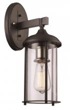 Trans Globe 50231 BK - 1LT-OUTD WALL CYL FRAME MED-BK