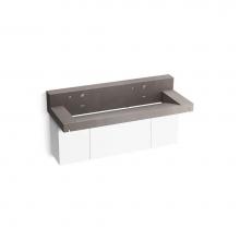 Kohler 81027-BPW-KCE - Constellation™ 60'' wall-mount trough lavatory system with backsplash