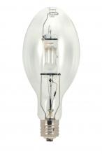 Metal Halide Bulbs
