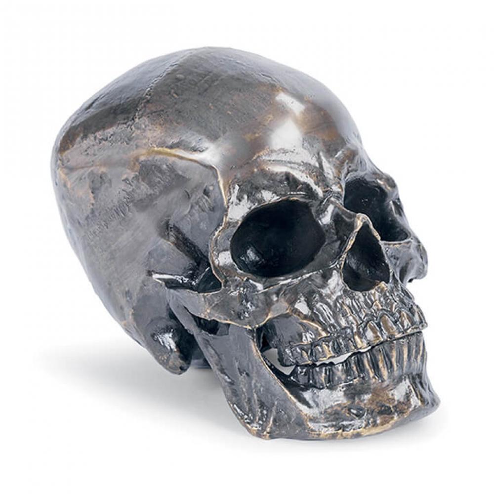 Regina Andrew Metal Skull (Antique Bronze)
