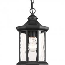 Progress P6529-31 - P6529-31 1-100W MED HANGING LANTERN