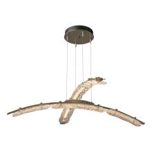Hubbardton Forge - Canada 137587-LED-STND-84-ZM0749 - Glissade Double Large LED Pendant