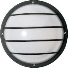 Nuvo SF77/859 - 1 LIGHT POLY ROUND CAGE WALL