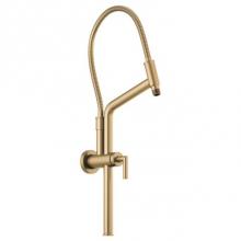 Brizo Canada 81892-GL - Slidebar Shower Arm & Flange