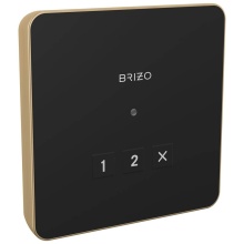 Brizo Canada 8CN-220L-GL-L - Other Square Exterior Control
