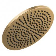 Brizo Canada 81392-GL-2.5 - Round Raincan Showerhead