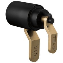 Brizo Canada HL6034-BLGL - Litze® Tempassure® Thermostatic Trim Handle Kit - Industrial Lever