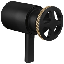 Brizo Canada HW6032-BLGL - Litze® Tempassure® Thermostatic Trim Handle Kit - Wheel