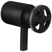 Brizo Canada HW6032-BLSL - Litze® Tempassure® Thermostatic Trim Handle Kit - Wheel