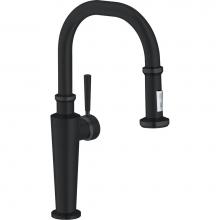 Franke Residential Canada FF5220 - Absinthe 17 3/8 Tall Pull Down Kitchen Faucet, Matt Black Finish