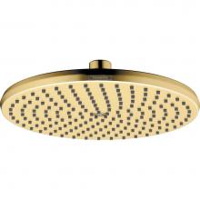 Hansgrohe Canada 04824250 - Showerhead 240 1-Jet, 1.75 Gpm