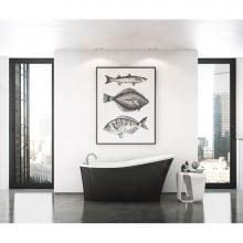 Maax Canada 106266-000-001-102 - Ariosa 6032 Acrylic Freestanding End Drain Bathtub in White with Black Skirt